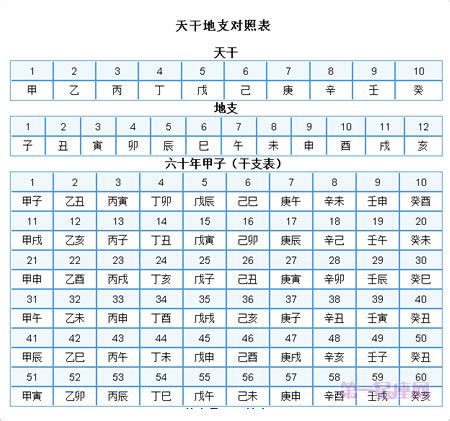 1983 天干地支|天干属性 干支纪年对照表